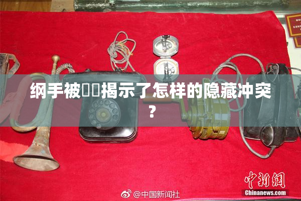纲手被❌‌揭示了怎样的隐藏冲突？