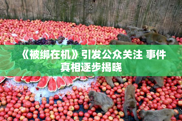 《被绑在机》引发公众关注 事件真相逐步揭晓