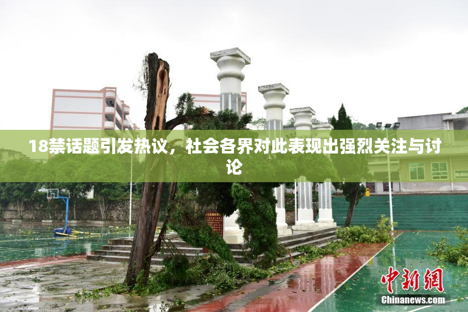 18禁话题引发热议，社会各界对此表现出强烈关注与讨论
