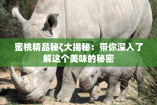 蜜桃精品秘ζ大揭秘：带你深入了解这个美味的秘密