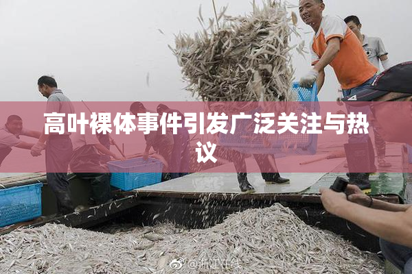 高叶裸体事件引发广泛关注与热议