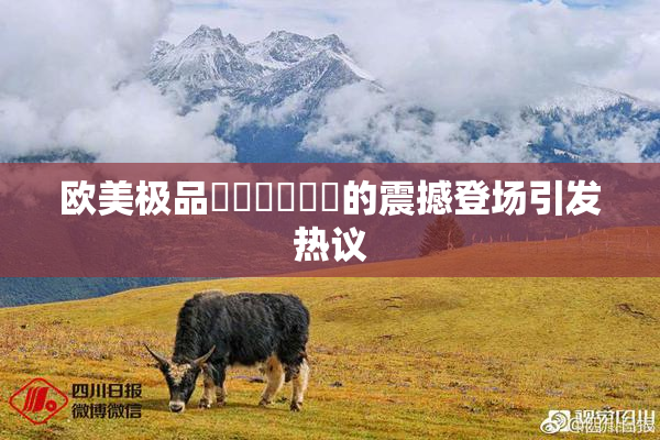 欧美极品❌‌❌‌❌‌的震撼登场引发热议