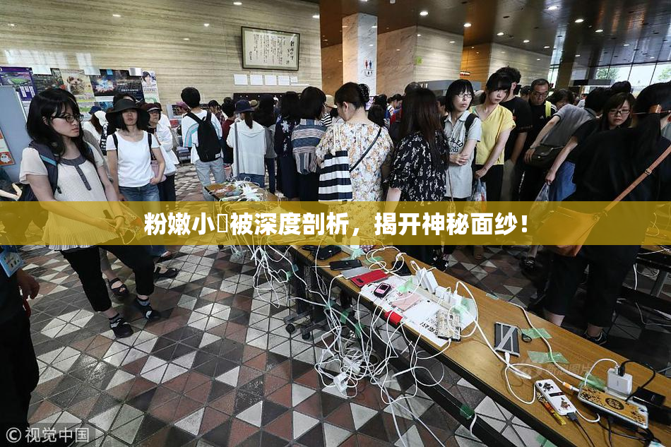 粉嫩小泬被深度剖析，揭开神秘面纱！