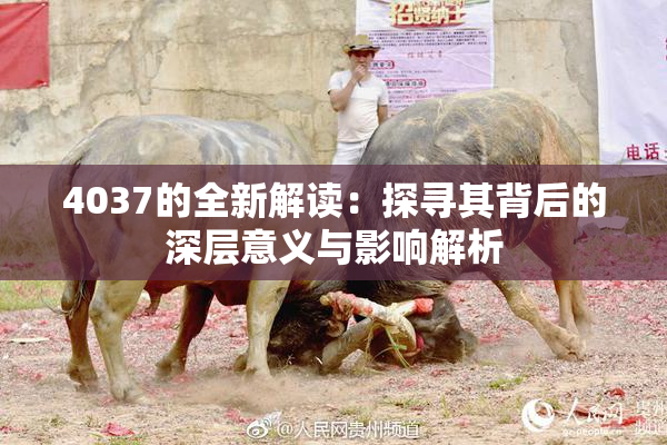 4037的全新解读：探寻其背后的深层意义与影响解析