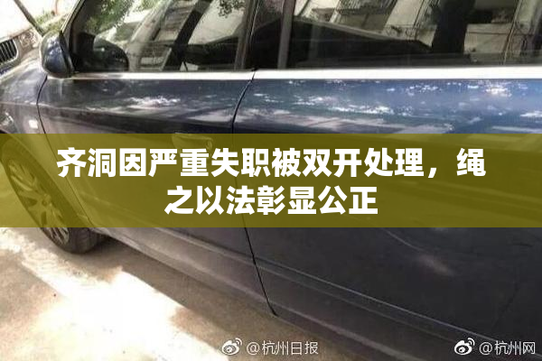 齐洞因严重失职被双开处理，绳之以法彰显公正