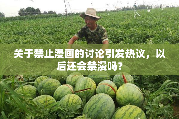 关于禁止漫画的讨论引发热议，以后还会禁漫吗？
