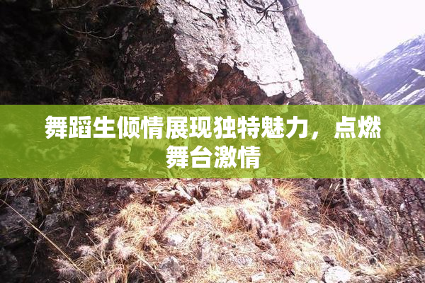 舞蹈生倾情展现独特魅力，点燃舞台激情