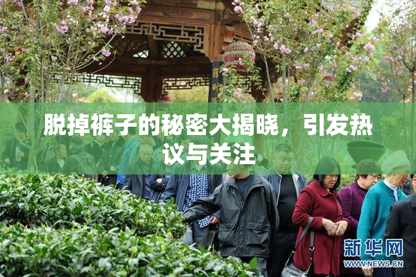 脱掉裤子的秘密大揭晓，引发热议与关注