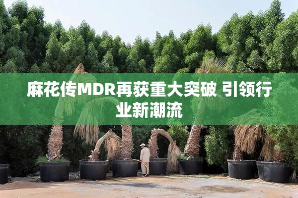 麻花传MDR再获重大突破 引领行业新潮流