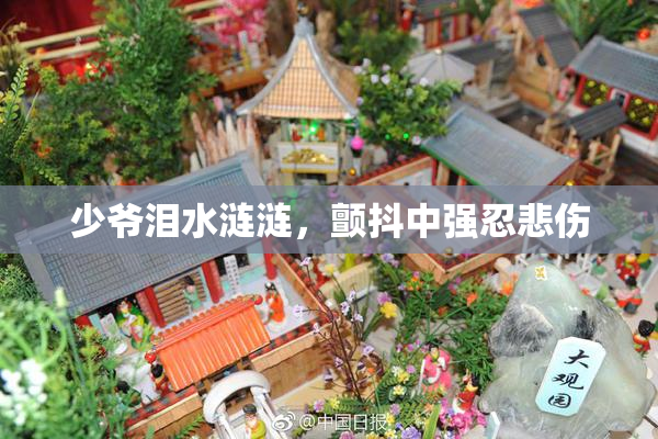 少爷泪水涟涟，颤抖中强忍悲伤