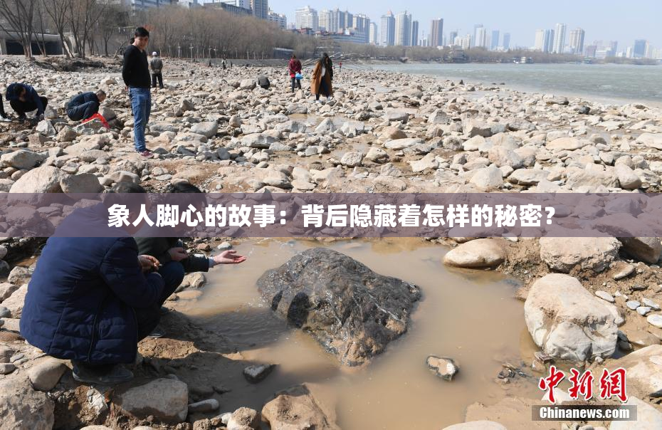 象人脚心的故事：背后隐藏着怎样的秘密？