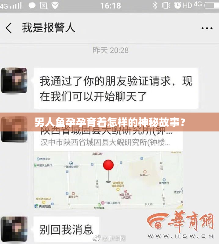 男人鱼孕孕育着怎样的神秘故事？