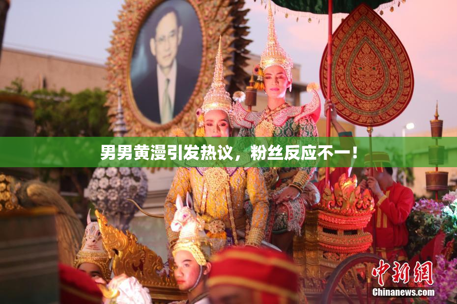 男男黄漫引发热议，粉丝反应不一！