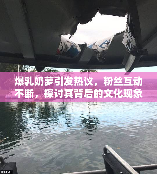 爆乳奶萝引发热议，粉丝互动不断，探讨其背后的文化现象