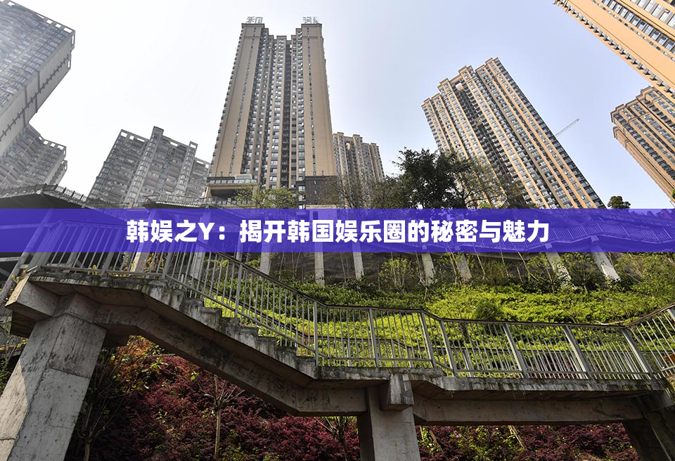 韩娱之Y：揭开韩国娱乐圈的秘密与魅力