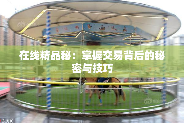 在线精品秘：掌握交易背后的秘密与技巧