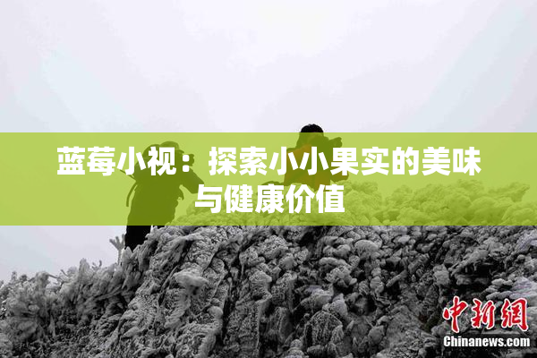蓝莓小视：探索小小果实的美味与健康价值