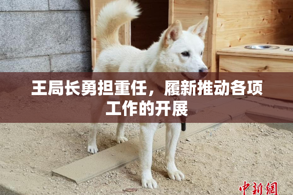 王局长勇担重任，履新推动各项工作的开展