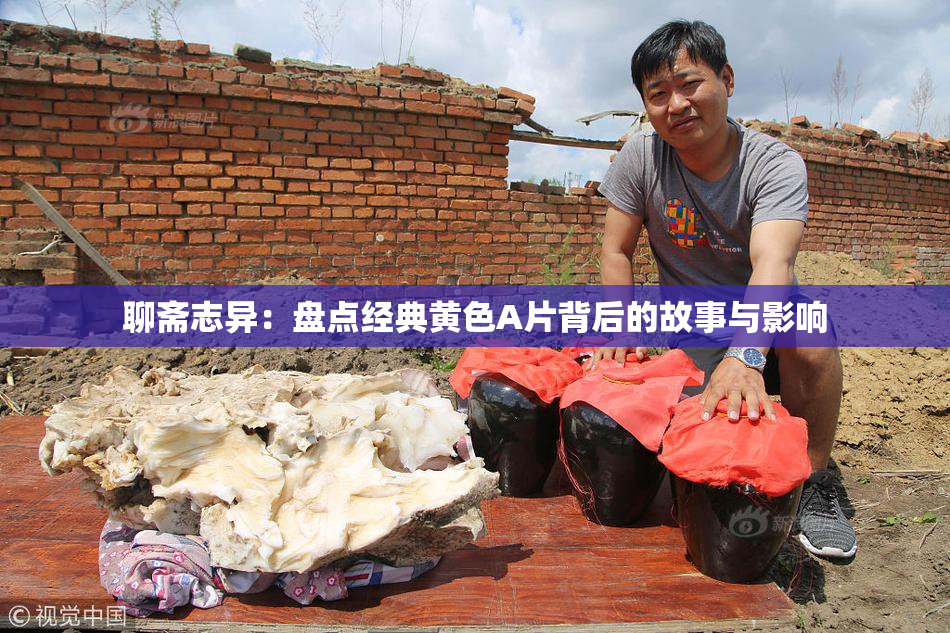 聊斋志异：盘点经典黄色A片背后的故事与影响