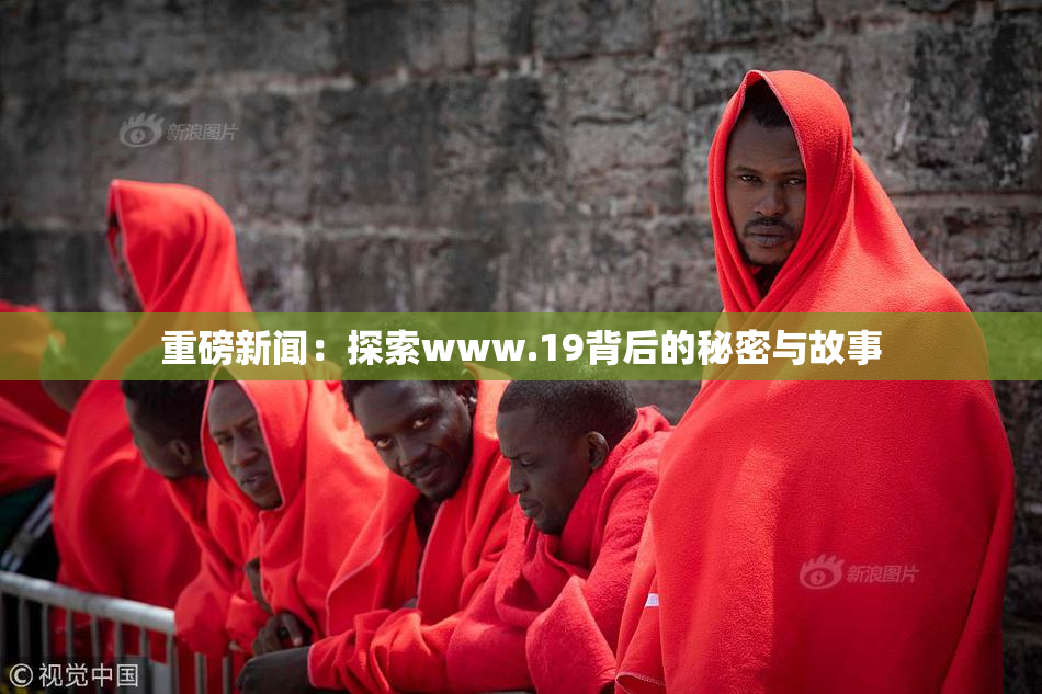 重磅新闻：探索www.19背后的秘密与故事
