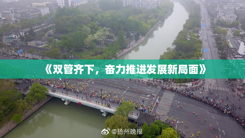 《双管齐下，奋力推进发展新局面》