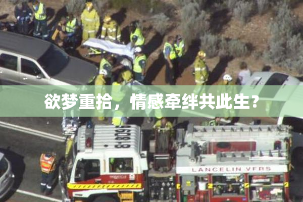 欲梦重拾，情感牵绊共此生？