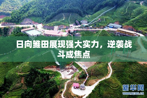 日向雏田展现强大实力，逆袭战斗成焦点