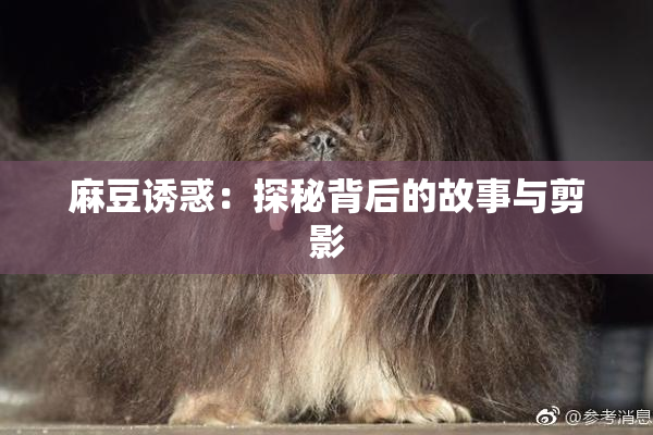 麻豆诱惑：探秘背后的故事与剪影