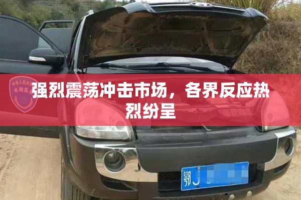 强烈震荡冲击市场，各界反应热烈纷呈