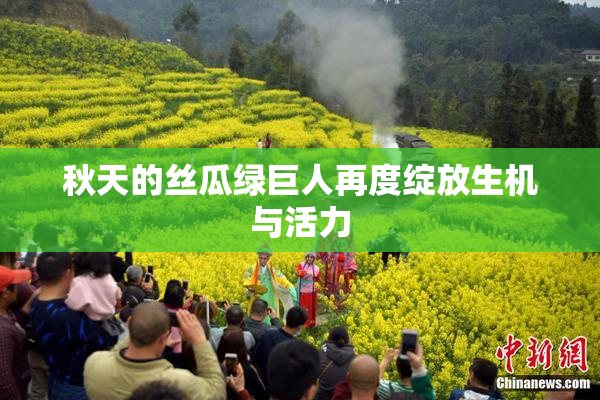 秋天的丝瓜绿巨人再度绽放生机与活力
