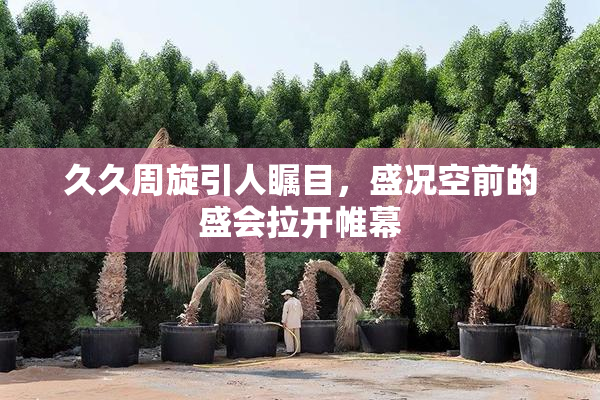 久久周旋引人瞩目，盛况空前的盛会拉开帷幕