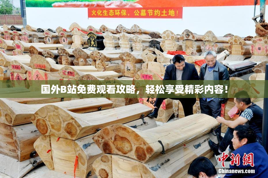 国外B站免费观看攻略，轻松享受精彩内容！