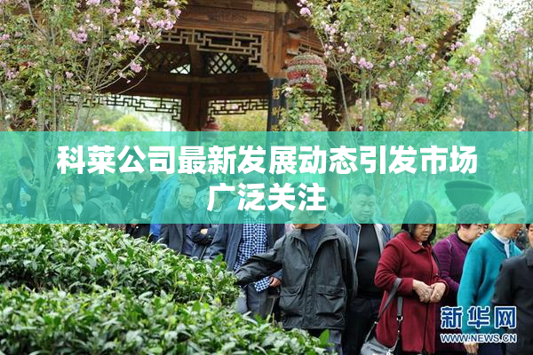 科莱公司最新发展动态引发市场广泛关注