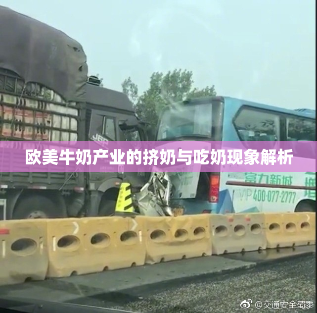 欧美牛奶产业的挤奶与吃奶现象解析