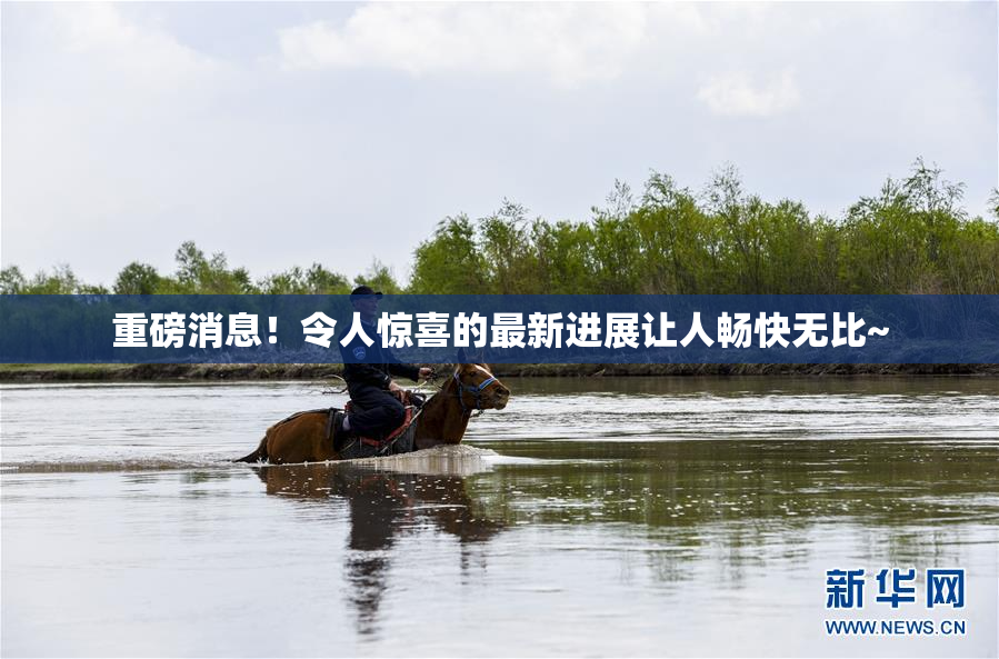 重磅消息！令人惊喜的最新进展让人畅快无比~