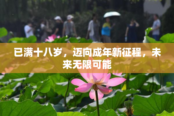 已满十八岁，迈向成年新征程，未来无限可能