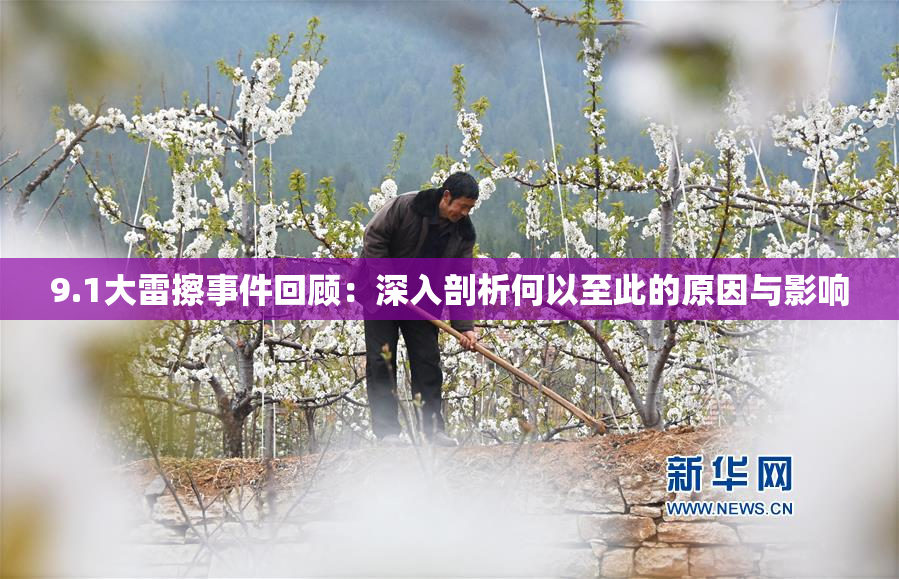 9.1大雷擦事件回顾：深入剖析何以至此的原因与影响