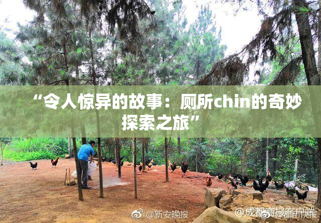 “令人惊异的故事：厕所chin的奇妙探索之旅”