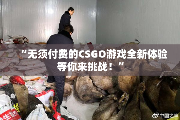 “无须付费的CSGO游戏全新体验等你来挑战！”
