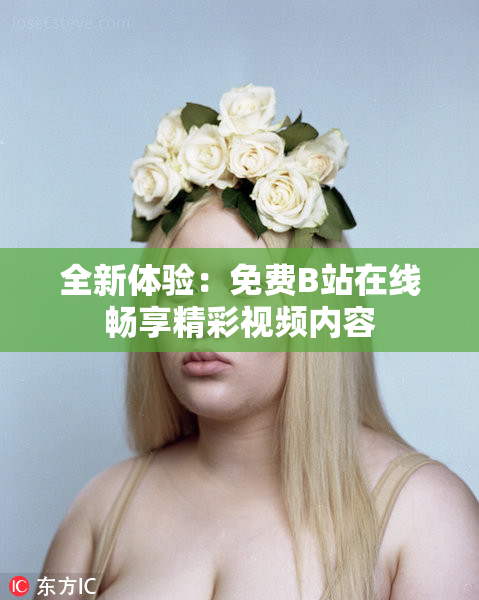 全新体验：免费B站在线畅享精彩视频内容