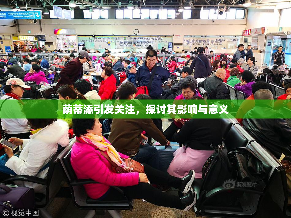 荫蒂添引发关注，探讨其影响与意义