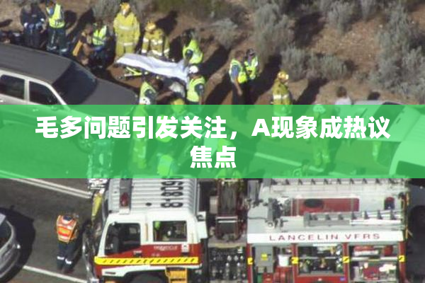 毛多问题引发关注，A现象成热议焦点