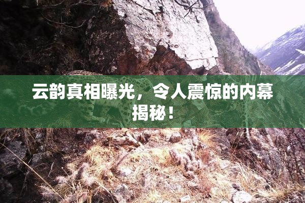 云韵真相曝光，令人震惊的内幕揭秘！