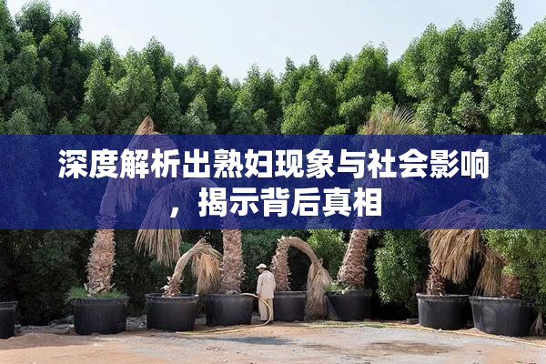 深度解析出熟妇现象与社会影响，揭示背后真相