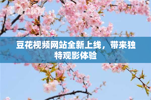 豆花视频网站全新上线，带来独特观影体验