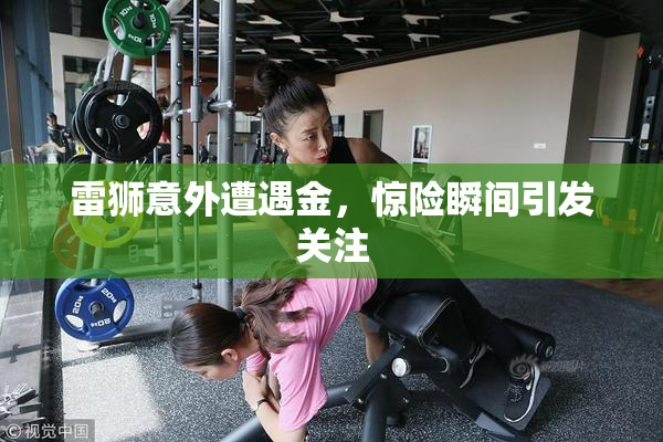 雷狮意外遭遇金，惊险瞬间引发关注
