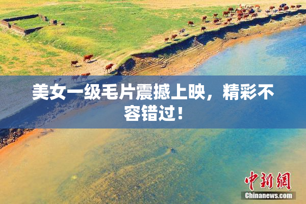 美女一级毛片震撼上映，精彩不容错过！
