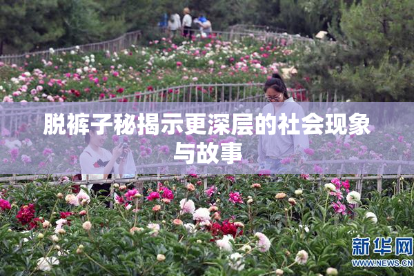 脱裤子秘揭示更深层的社会现象与故事