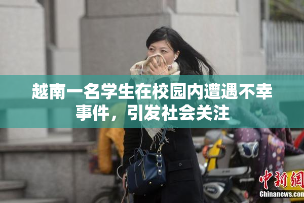 越南一名学生在校园内遭遇不幸事件，引发社会关注