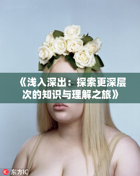 《浅入深出：探索更深层次的知识与理解之旅》